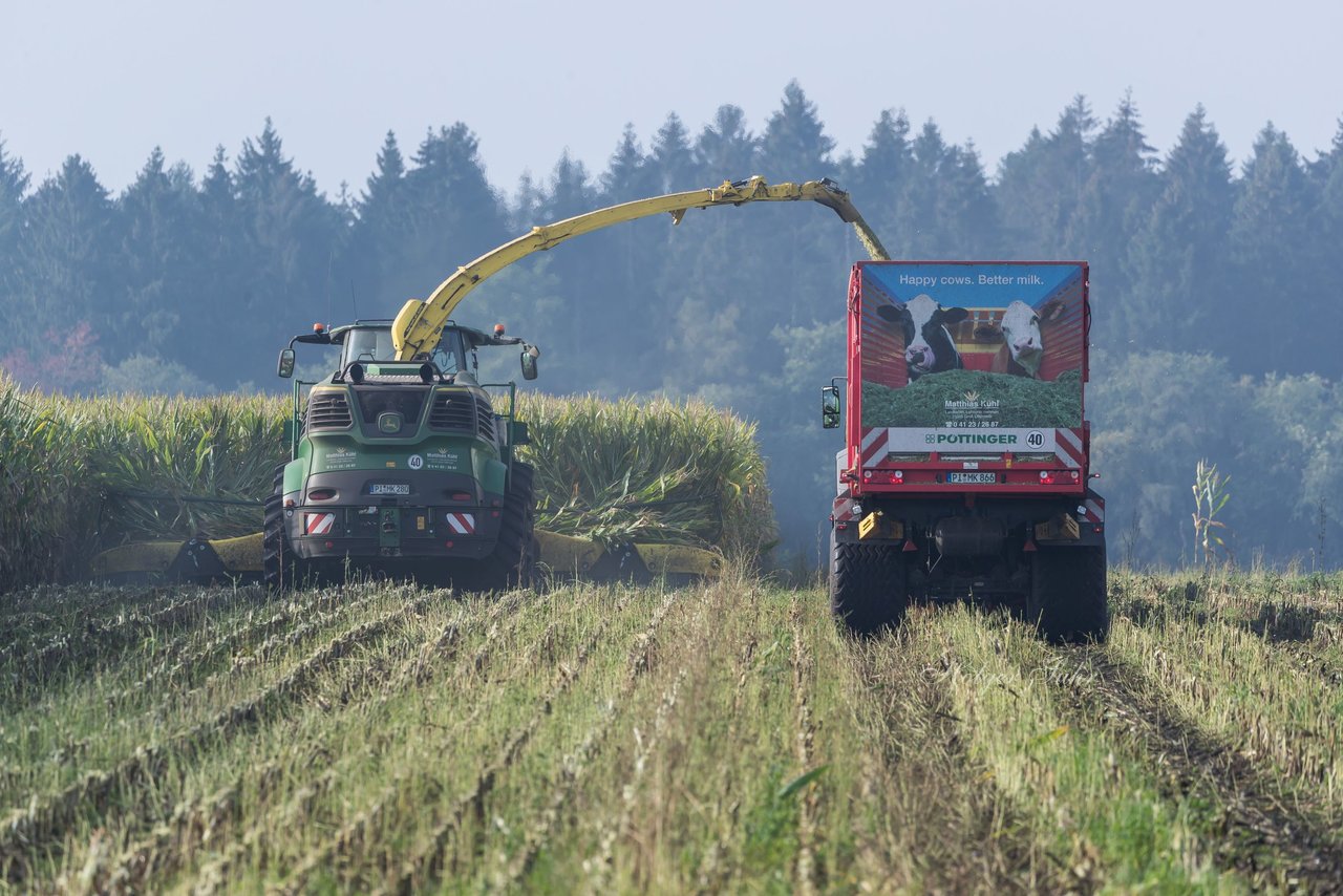 Bild 156 - Maisernte